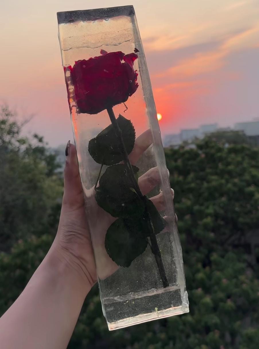 One Rose Preservation
