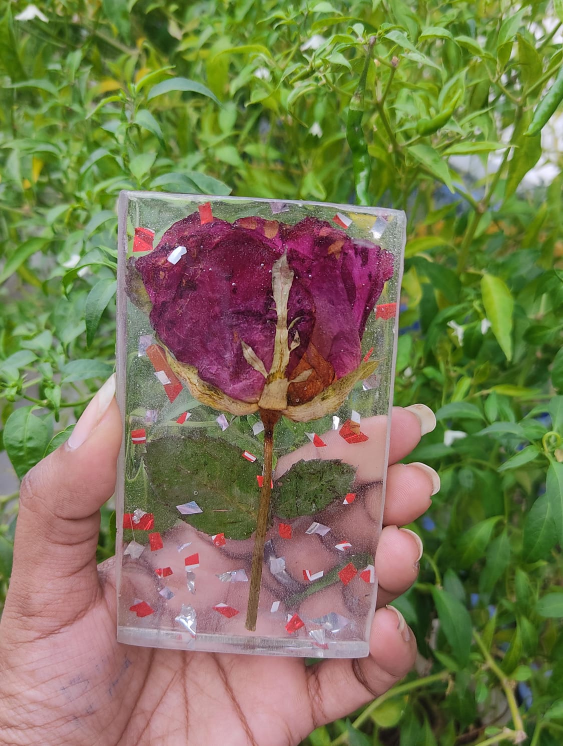 One Flower Preservation